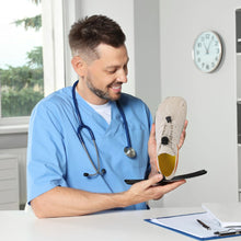 Lade das Bild in den Galerie-Viewer, FreeStep - ergonomischer schmerzlindernder Barfußschuh - Sonderaktion 1+1 Gratis